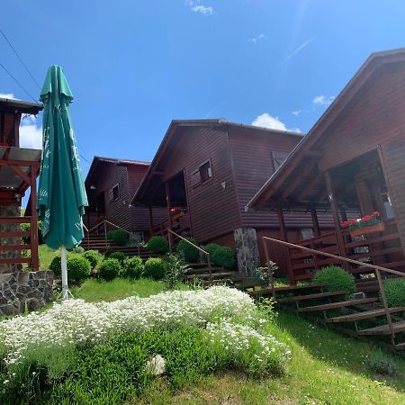 Apartament Cristal De Sare Praid Zewnętrze zdjęcie