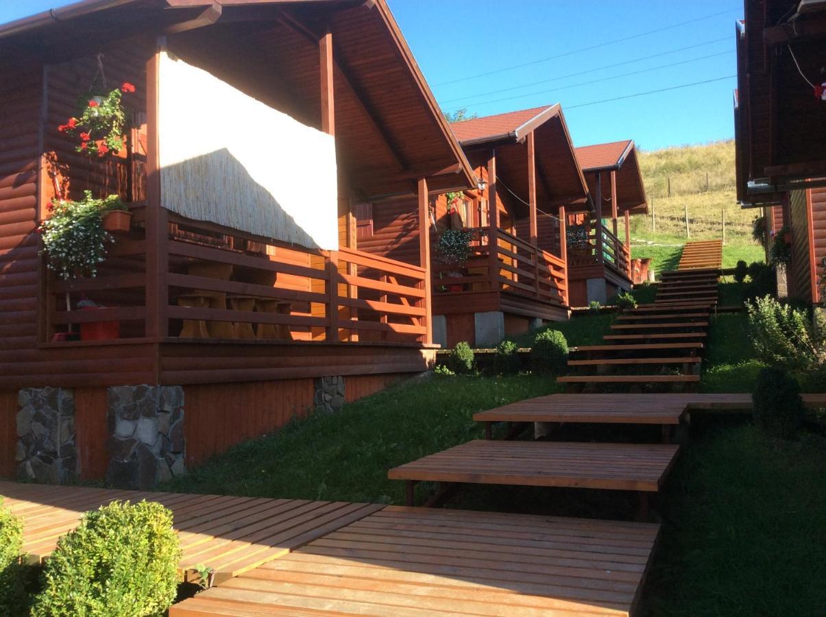 Apartament Cristal De Sare Praid Zewnętrze zdjęcie